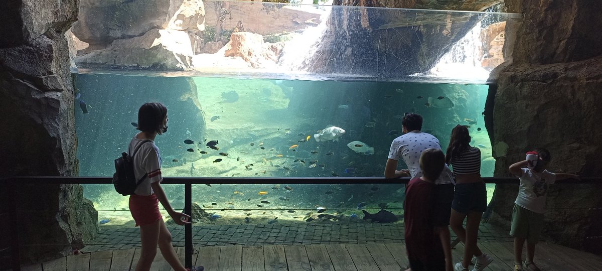 paris_eva's tweet photo. Día completo en @Bioparc #Valencia https://t.co/9vPiqGbNYO