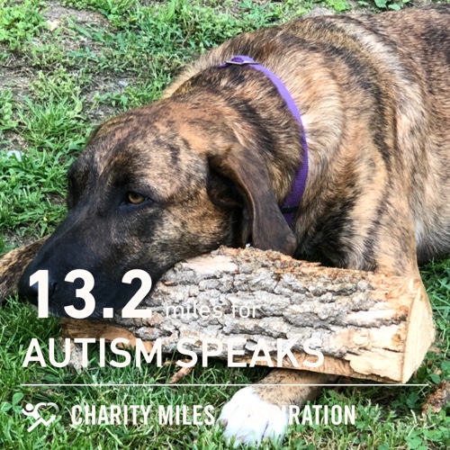 HHGStudio's tweet photo. 13.2 @CharityMiles for @autismspeaks. https://t.co/RhlJlMBOUU