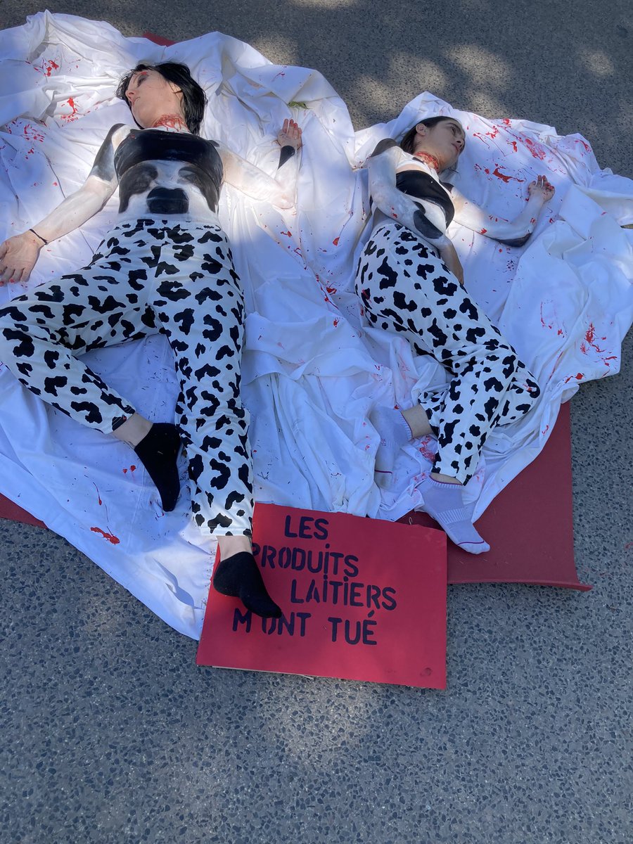 blouse_men's tweet photo. #mobilisation aujourd’hui devant #parcdelatetedor à @villedelyon sur la #maltraitance #animal ! https://t.co/8dpzR78x1S