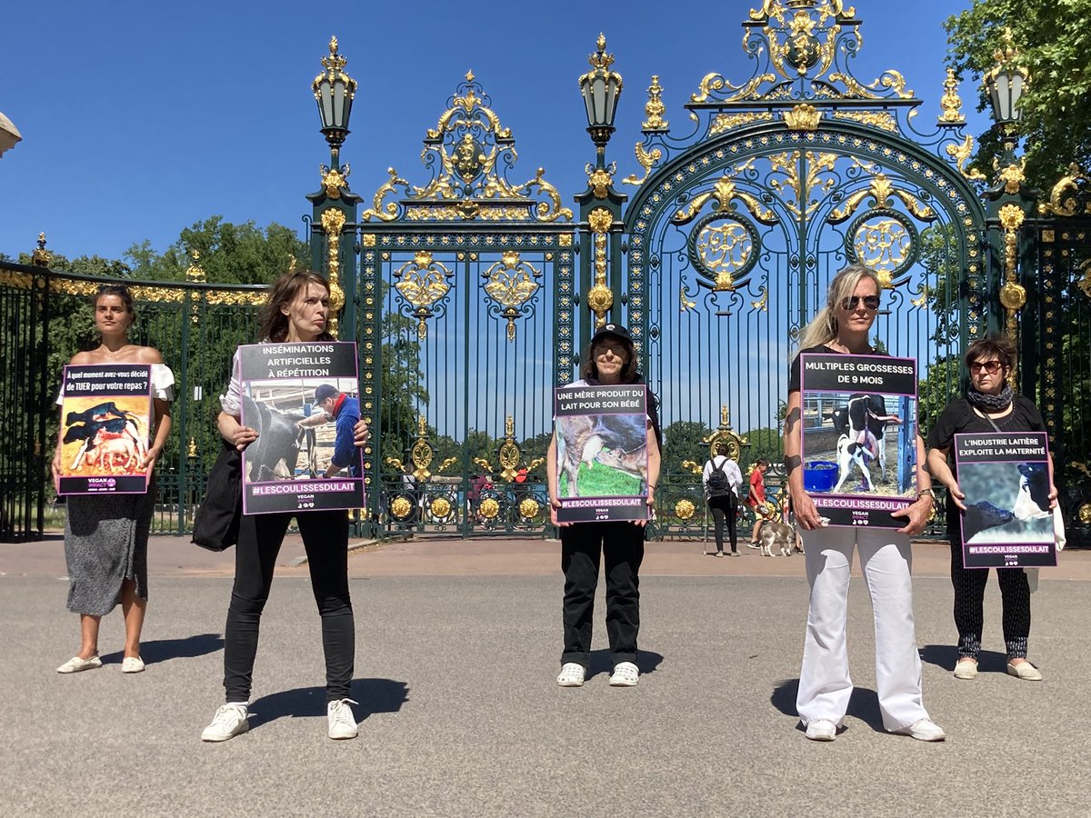 blouse_men's tweet photo. #mobilisation aujourd’hui devant #parcdelatetedor à @villedelyon sur la #maltraitance #animal ! https://t.co/8dpzR78x1S
