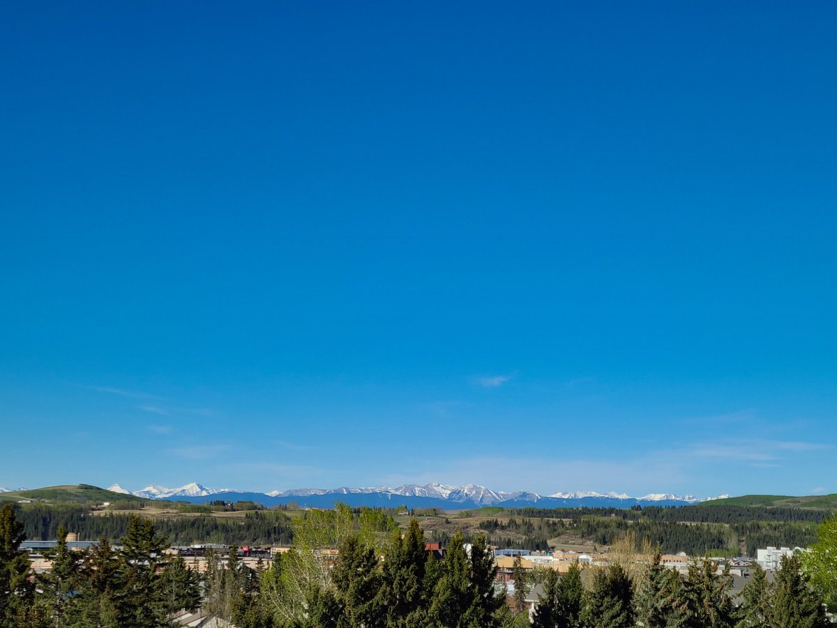 marlaine tweet media