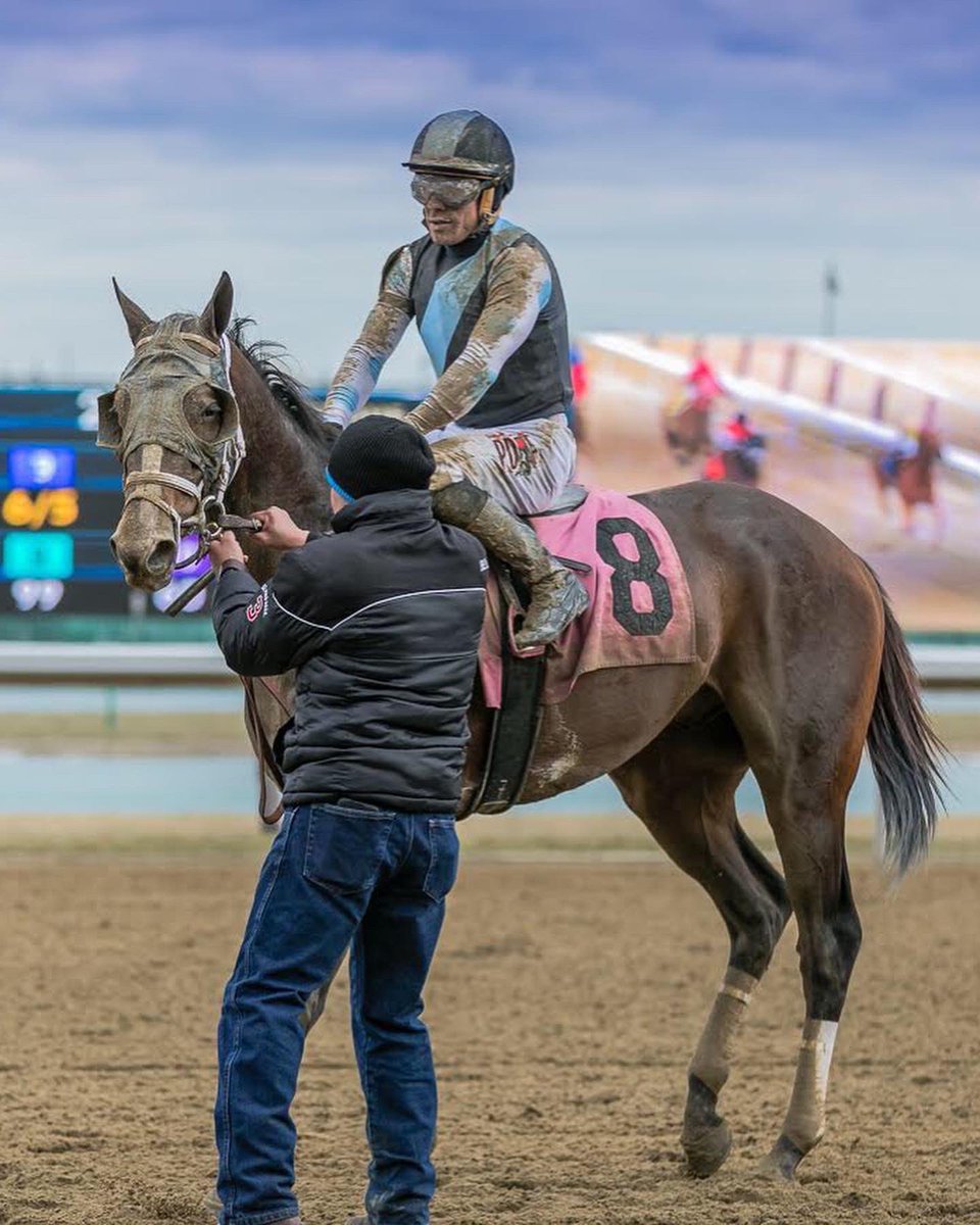 Sad to say that this special horse is no longer with us. Alum was the sweetest horse. Bought him as a yearling. Was with me from Winner Circle to retirement. You will be missed. Sharing some of my favorite pics <a href="/EclipseTBP/">Eclipse Thoroughbred Partners</a> <a href="/PletcherRacing/">Todd Pletcher Racing Stables</a>