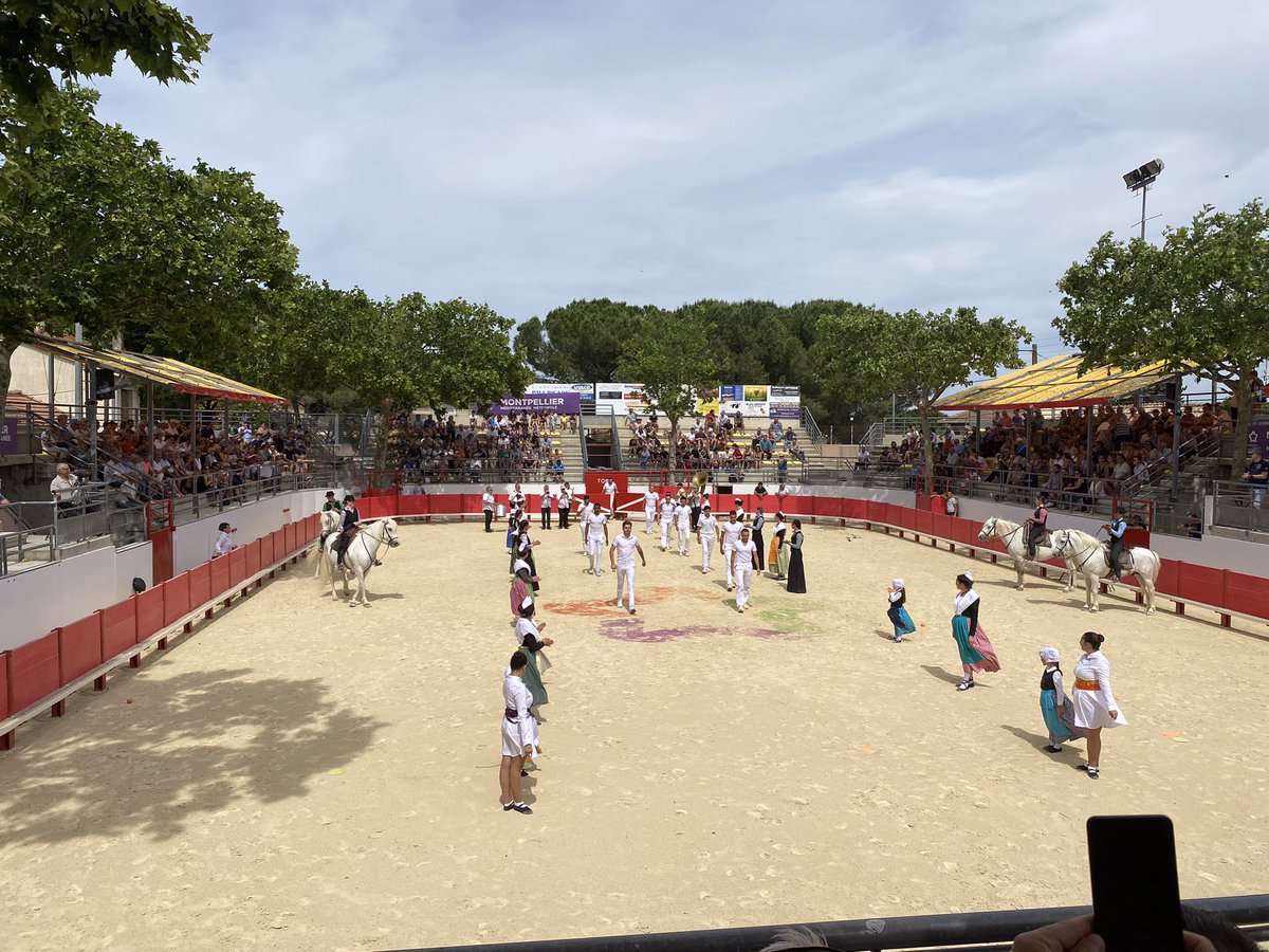 BergeonL's tweet photo. Dans les arènes de Baillargues pour le trophée 3M !
Une belle course en perspective !

#legislatives2022 
#circo3403 https://t.co/nH3e0CmiJU