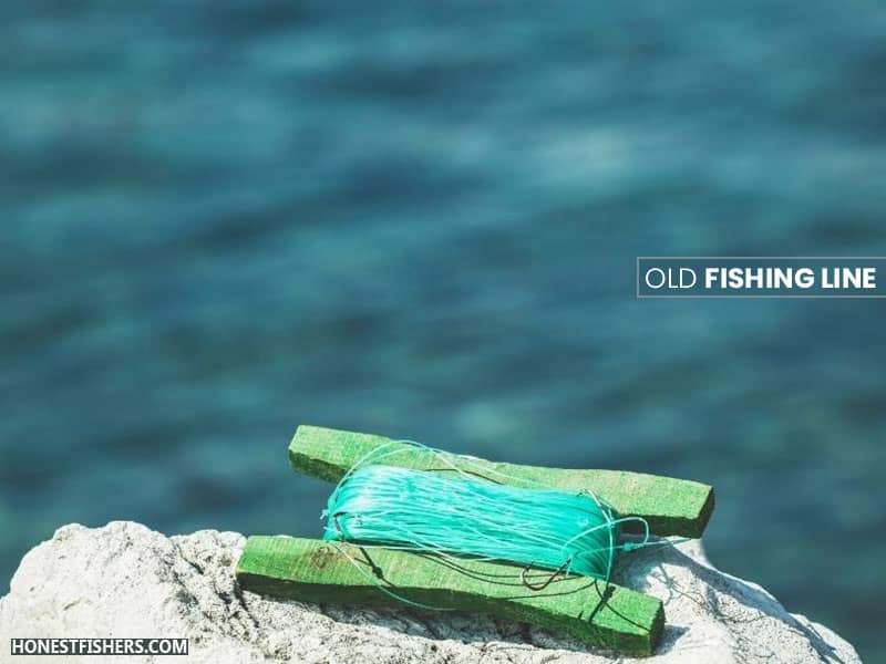 HonestFishers tweet picture