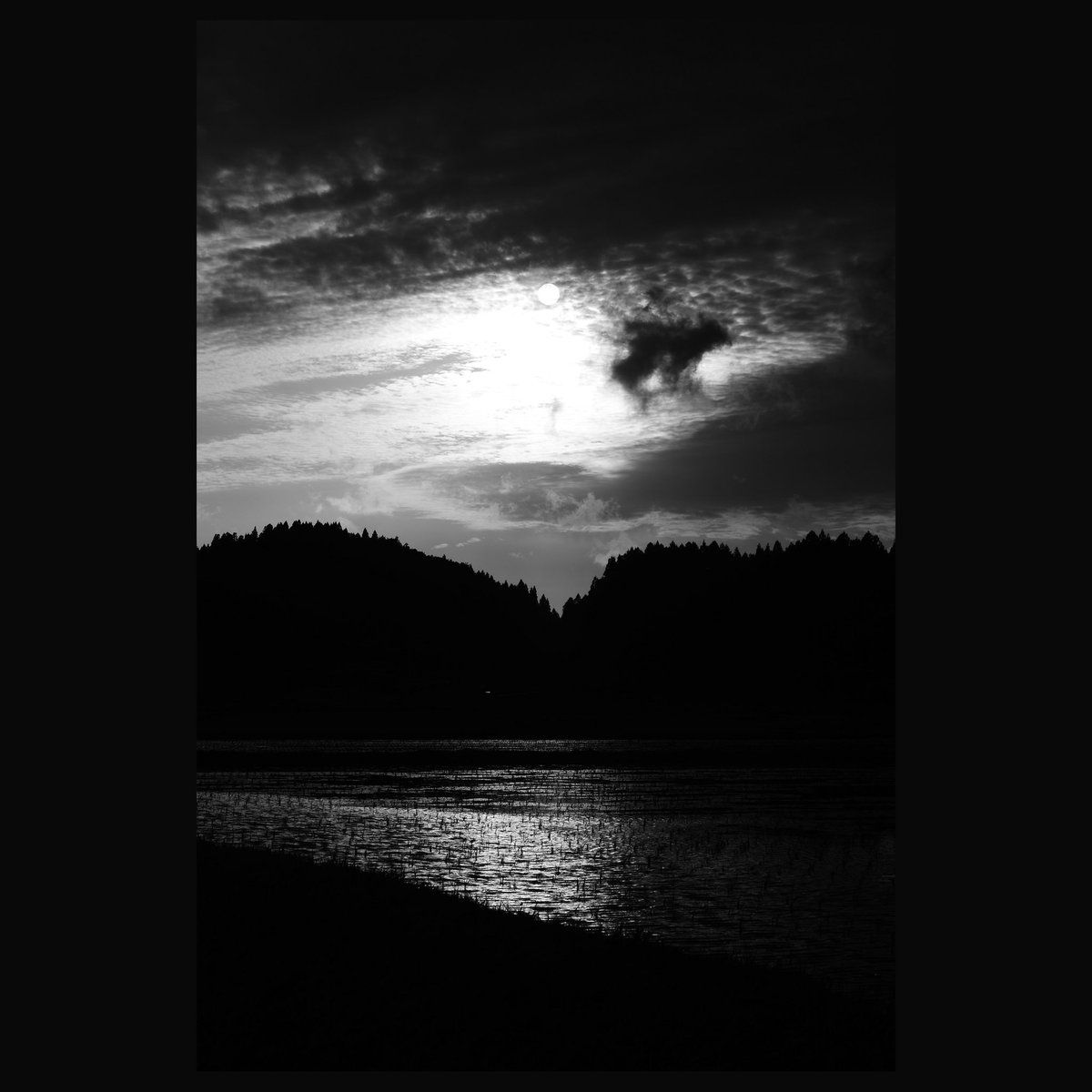 KID_Anonymous5's tweet photo. They said it changes when the sun goes down

#photography #monochrome
#キリトリセカイ #photopower 
#bnwphotography #nikon  
#ファインダー越しの私の世界 https://t.co/lHHOsERpQ0