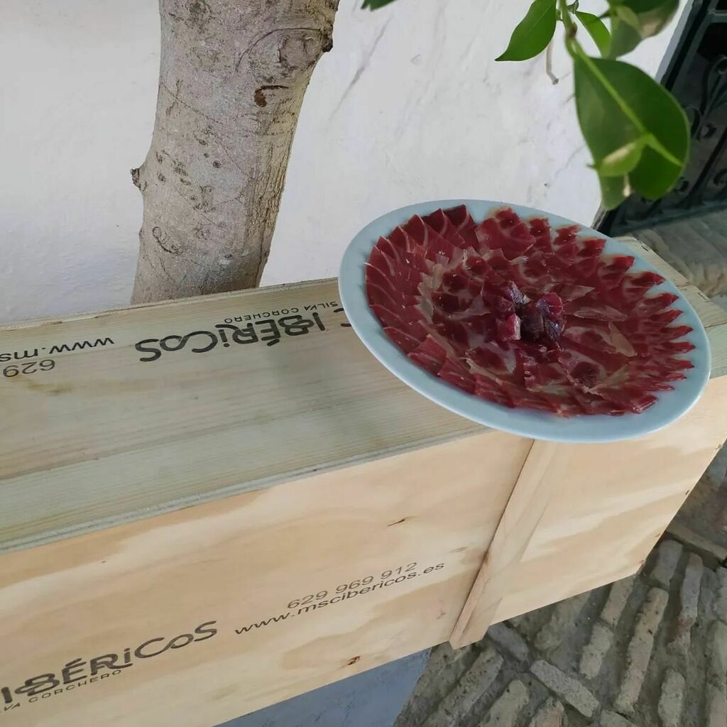 mscibericos's tweet photo. Poner el foco en la calidad debe de ir acompañado de la sostenibilidad 😋🌳

Y tú ¿Te gusta la calidad? ¿Eres sostenible?

#sostenibilidad #calidad #ibericos #rrssMSC https://t.co/0XR0RbKX1p