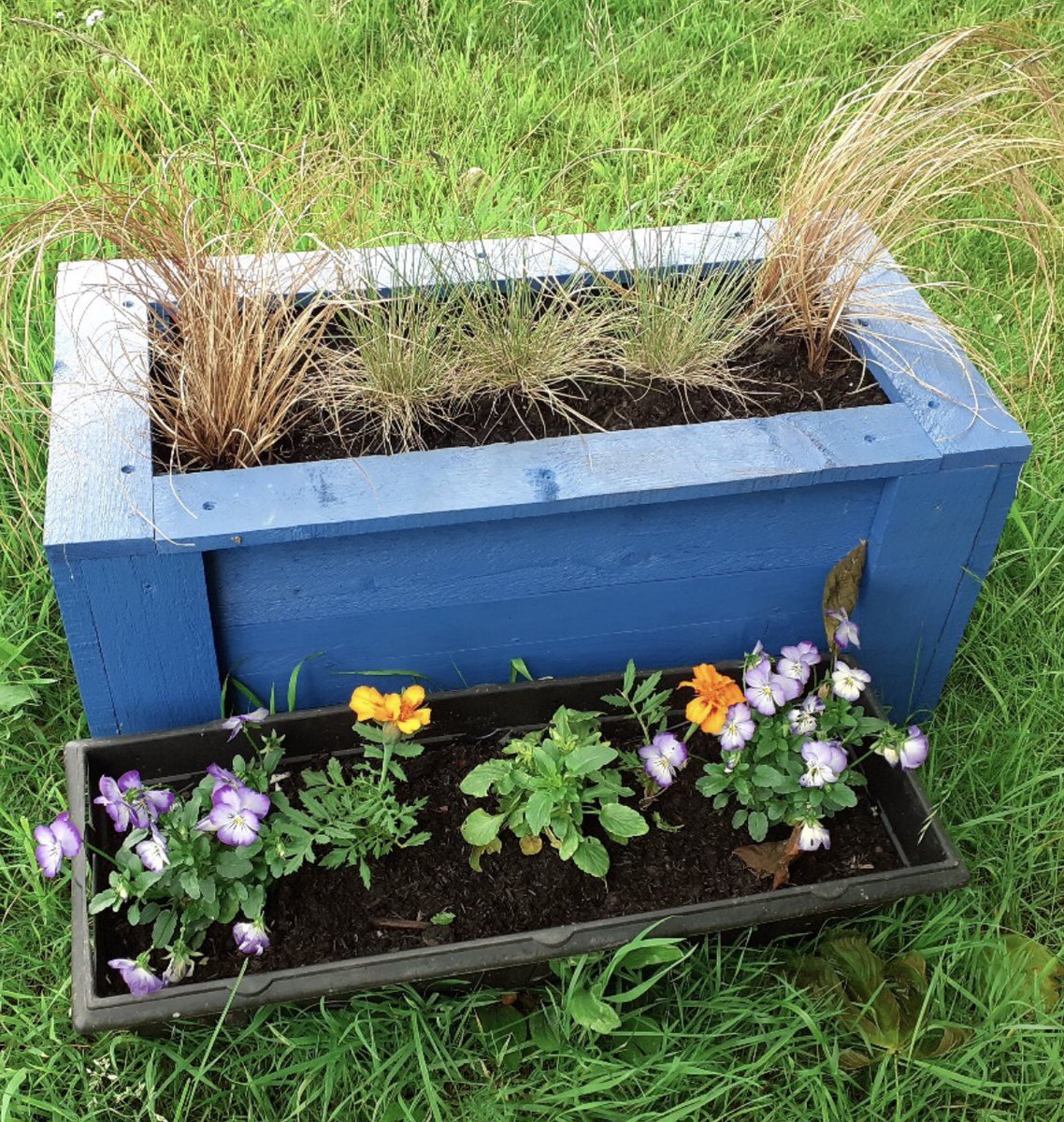 Syrena House tweet media