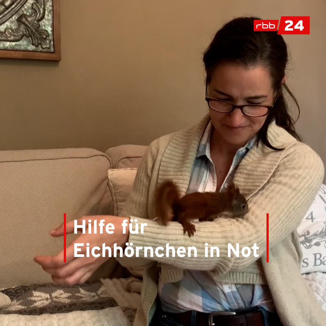 elena bruhn Besten Eilmeldungen und neuesten Buzz Scoopnest