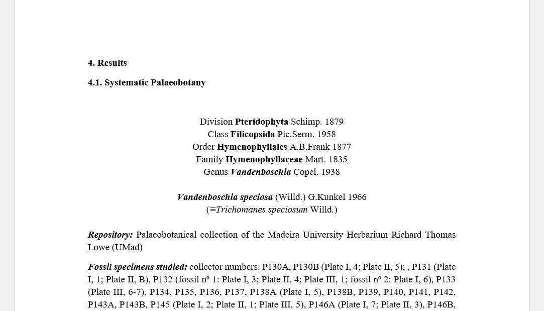 CGoisMarques's tweet photo. Finally got the time to write my papers! 😀 #palaeobotany #futurepaper #fossil #fern #macaronesia https://t.co/cS0CKZmsFs