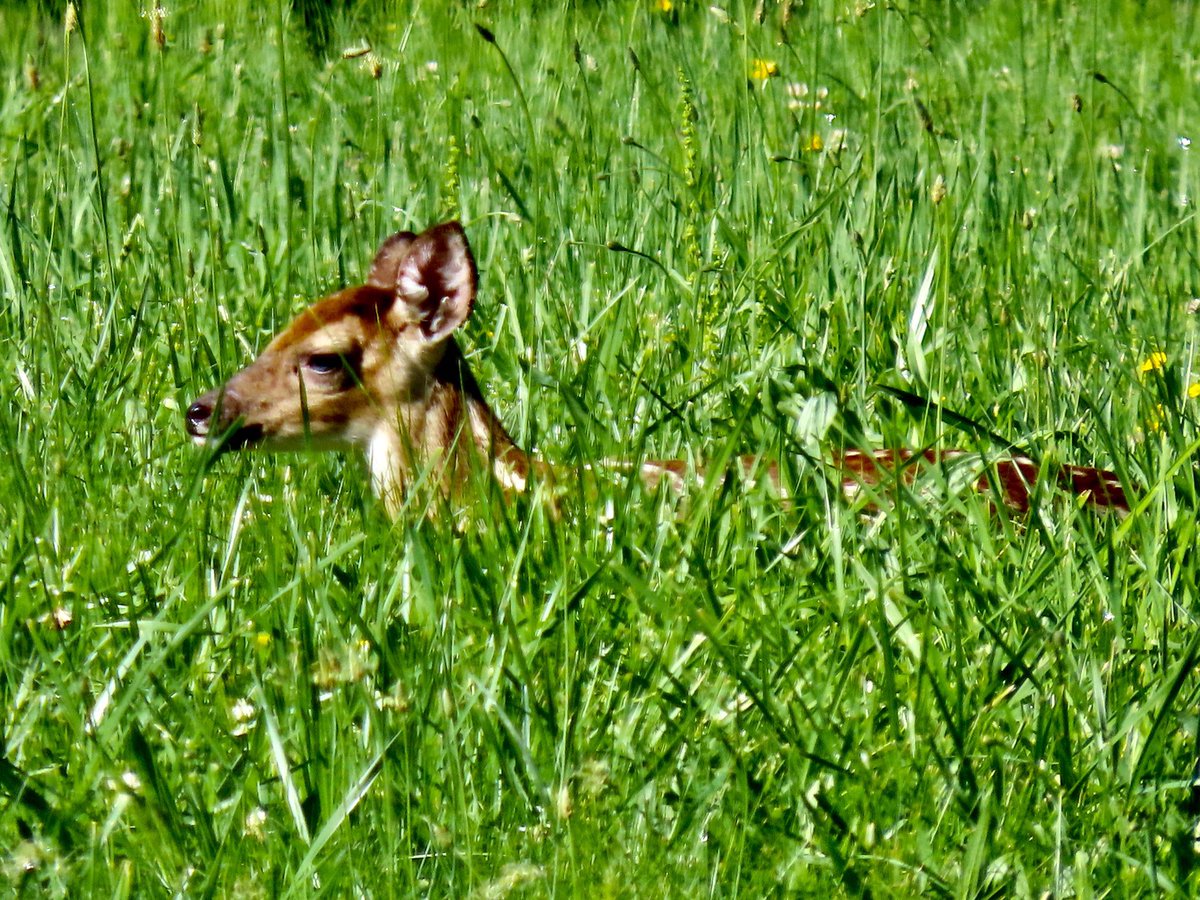 Looking out my front door today🙋‍♀️😁