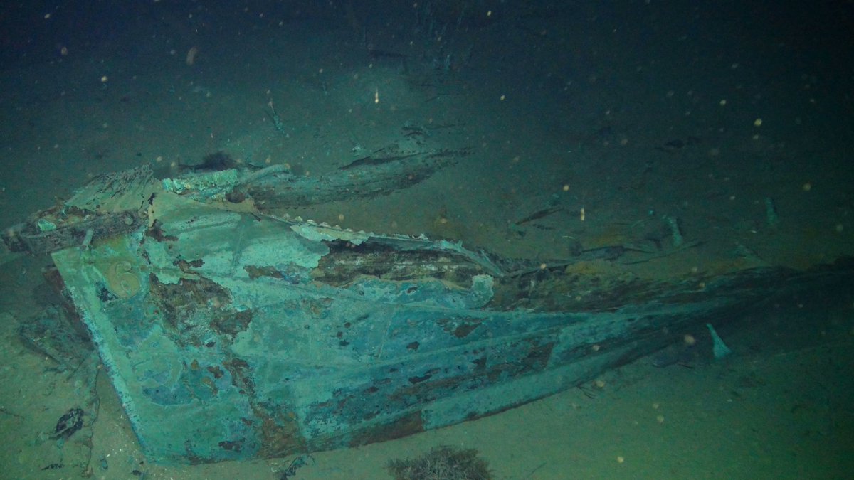 molecology's tweet photo. New research from the Gulf of Mexico and @hamdanlab! Microbiomes respond predictably to built habitats on the seafloor. These built habitats include historic shipwrecks like this one. Check out the full article.
https://t.co/0syeTVDYpj https://t.co/Dqz3E7Vc0W