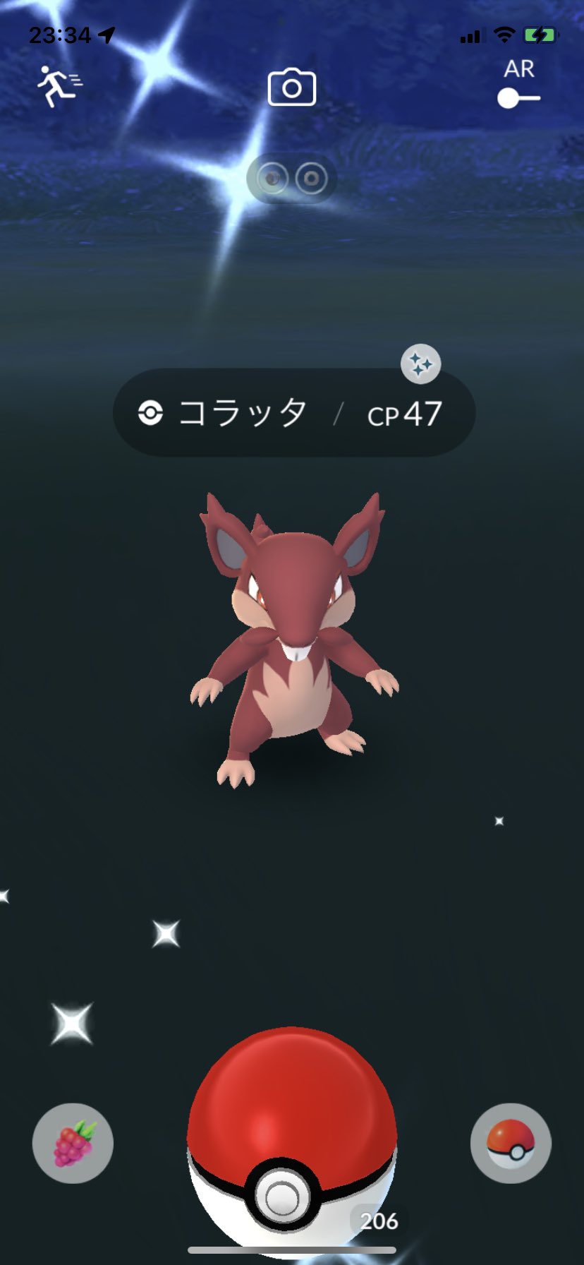 تويتر ポラリス على تويتر ポケモンgo 家に色違いアローラコラッタ来てくれました ポケモンgo 色違い アローラ コラッタ T Co Lnd12tp1e6 تويتر ポラリス على تويتر ポケモンgo 家に色違いアローラコラッタ来てくれました ポケモンgo 色違い アローラ コラッタ T Co Lnd12tp1e6