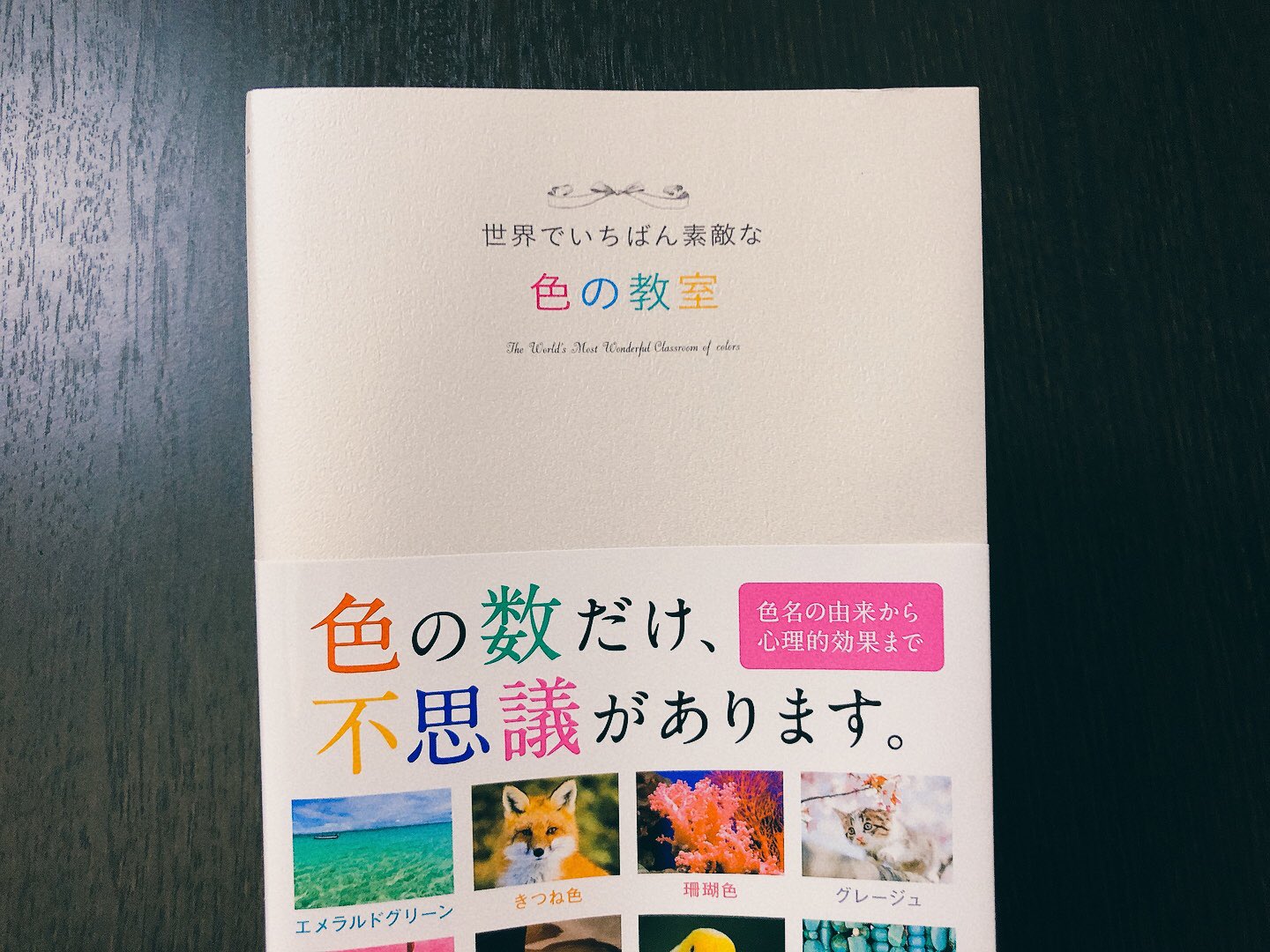 73cat 友人からの誕プレに 色の知識の本が入っていてすごく喜んでいます 自分で購入した色彩表現についての本 と この色の知識の本で 色に対する解像度を上げていくぞ T Co N2tukotde6 Twitter