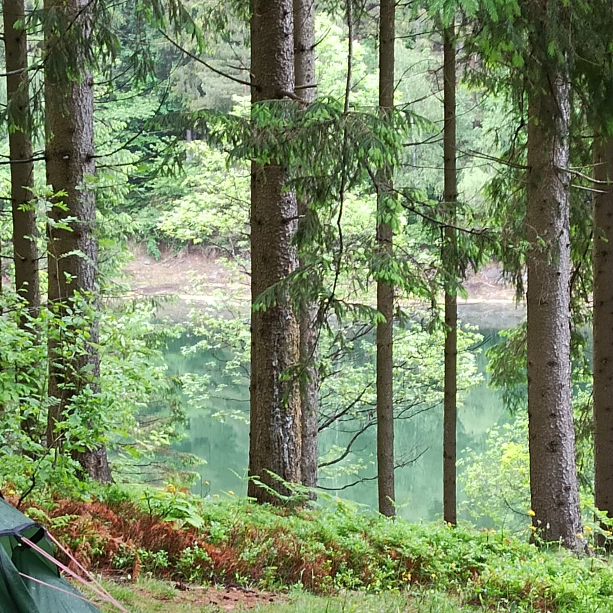 Ist es nass? Ja!
Kalt? Auch!
Trotzdem schön und erholsam. Nichts als Vogelgezwitscher, Wasserplätschern und Kindergeplauder. So kann Samstag