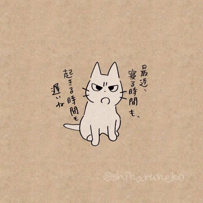 ついつい遅寝遅起きになってしまう人を叱ってくれる猫 