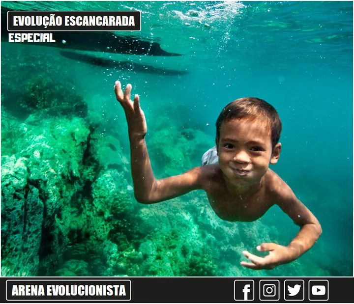 AEvolucionista's tweet image. 📂 Visão subaquática dos Moken

A córnea curva e a lente interna do olho falham em solução aquosa, dando uma visão subaquática ruim ao humano. Porém, crianças dos povos Moken são capazes de diminuir suas pupilas, mudar sua forma de lente e enxergarem nitidamente debaixo da água.