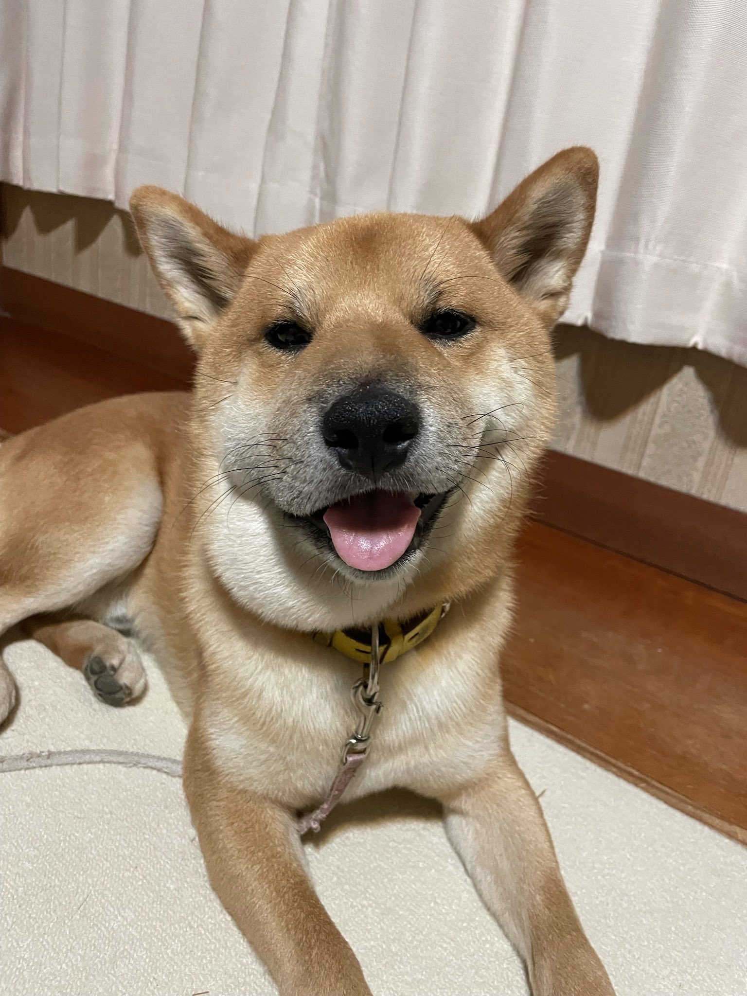 かんな Y Aimee Twitter