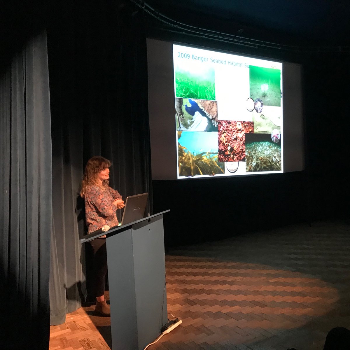 f_r_gell's tweet photo. Part 2 of our Celebration of Manx Seas: Jackie Hall talking about 17 amazing years of world-leading basking shark research with @GrahamI0M @IOMBaskingShark, &amp; brilliant science communicator @rowanhenthorn on blue carbon science &amp; climate hope. And I read from Spring Tides! 💙🐟🌱 https://t.co/tS4AxiRv53