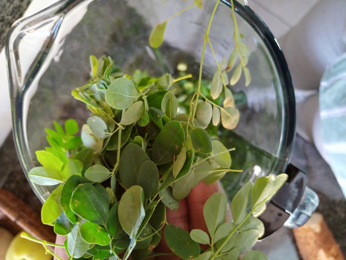 Sabelo ka Lindamkhonto vi tweet media