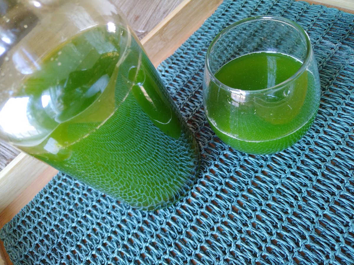 100% wild honey is the only food that never spoils. When honey combined with Moringa, it becomes one of the best remedies that prevent many health ailments such as anaemia, ulcers, inflammation, liver disease, arthritis, cancer, diabetes and much more...🌿