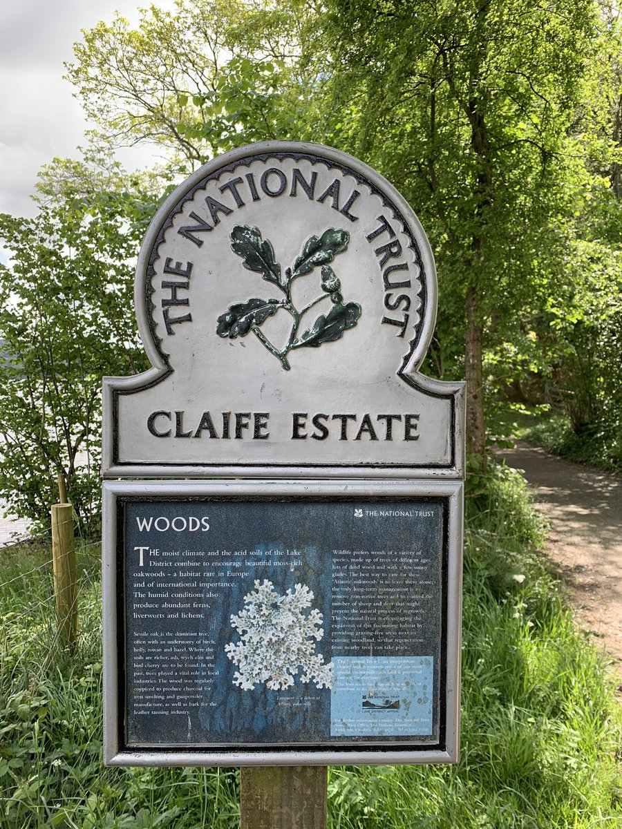 cumpstonarchive's tweet photo. Forest annihilation #WrayCastle to #Claife @nationaltrust #StormArwen
Hundreds of trees upended. https://t.co/4QNfgTMjDd