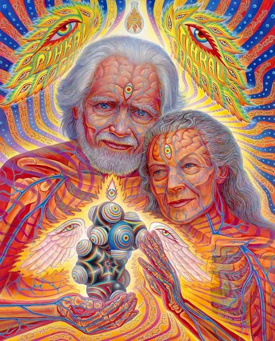 SynergeticPress's tweet photo. “How long will this last, this delicious feeling of being alive, of having penetrated the veil which hides beauty and the wonders of celestial vistas?” -- #AlexanderShulgin
Art by @alexgreycosm https://t.co/hKX0sVsl2o