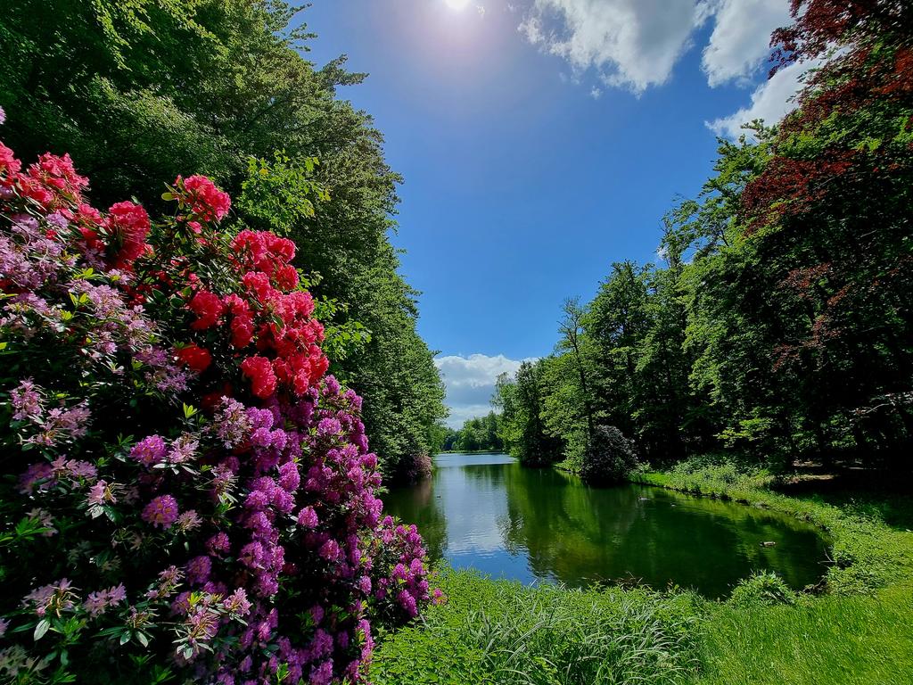 Park Zypendaal in Arnhem.