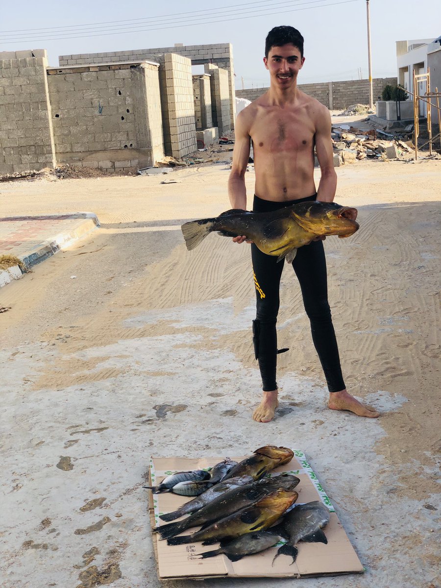 حصيله يوم الجمعه 
9 ساعات غطس حر 🦈