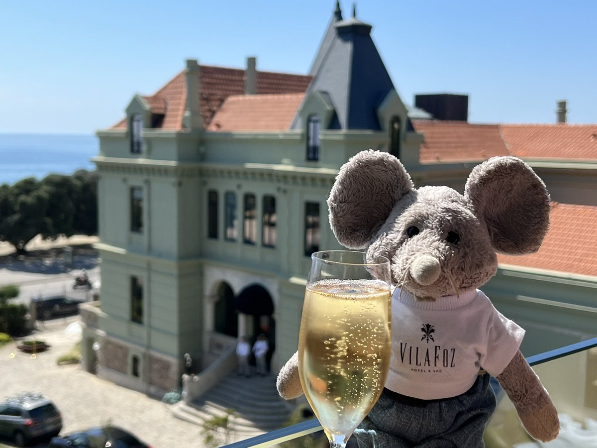 whiskersmouse's tweet photo. Saúde!! So happy to be at @VilaFozhotel in Porto to celebrate Mum’s big birthday (only 13 months late!). Beautifully refurbished manor house/villa with stunning views! (And no cats)
#vilafoz #porto #sparklingwine #cheers https://t.co/DaN1xTKLlQ