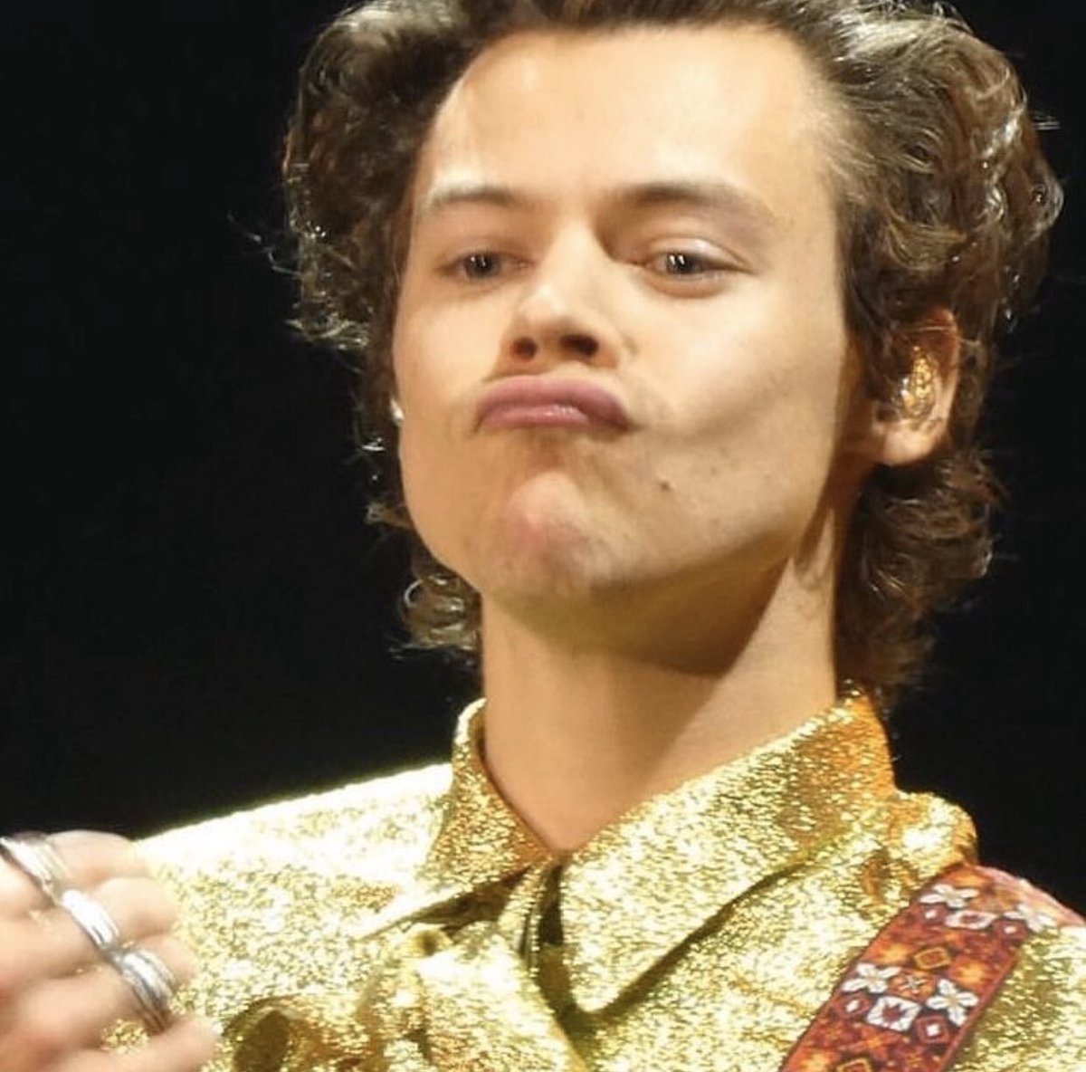 hourlyharrys's tweet photo. Kissy Harry. https://t.co/2OSAthKolC