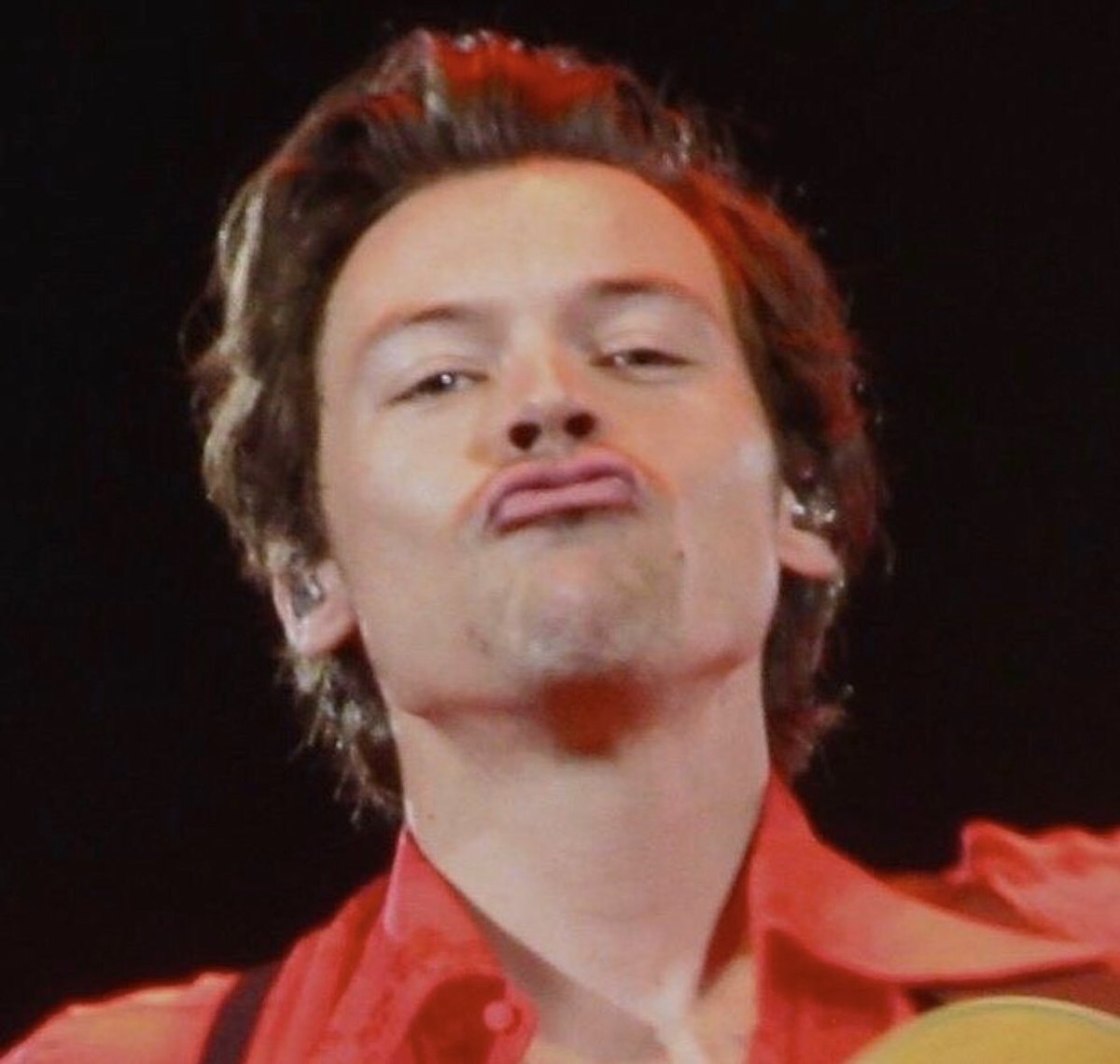 hourlyharrys's tweet photo. Kissy Harry. https://t.co/2OSAthKolC