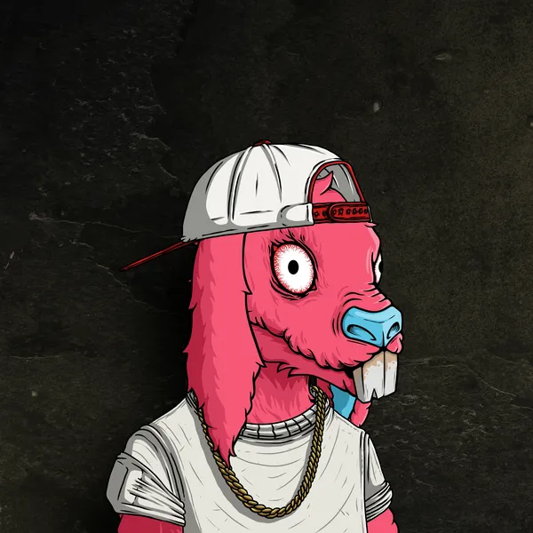 Djordje tweet media