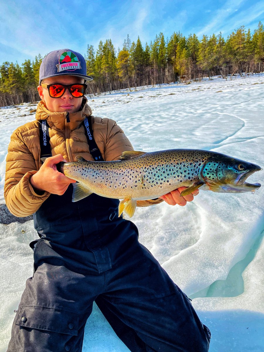 RapalaProguide's tweet image. Spinnfiske säsongens första öringar! 
Nytt blogginlägg av Lucas Lövgren

Äntligen så har vi här uppe i norr även fått öppet vatten. Finns såklart en heldel vinter och is kvar uppe i våra fjällkedjor men skogsl...... Läs mer rapalaproguide.se/2022/05/spinnf…