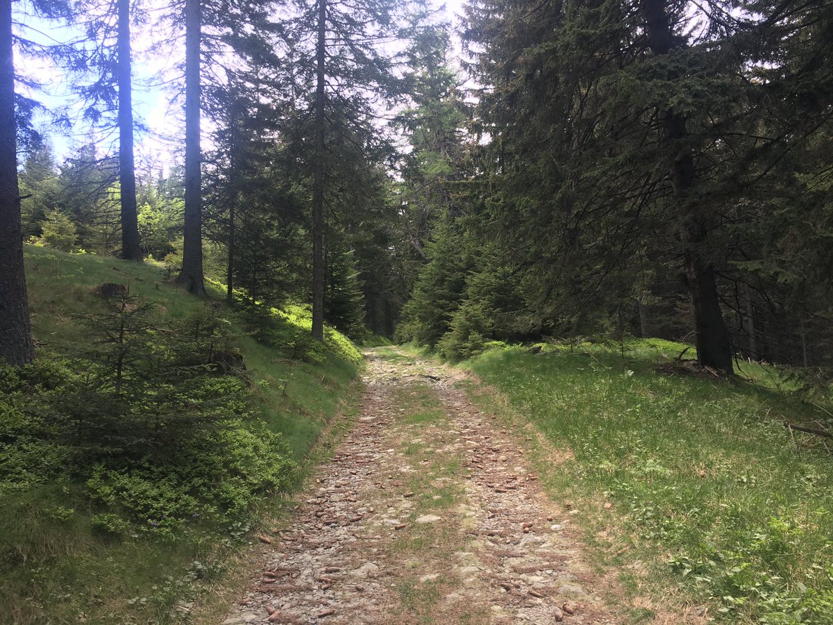 SchuhChristoph's tweet photo. Impressionen der #Wanderung auf den #Kampstein in der Region #Wechsel, die offensichtlich gerade wieder zum Leben erwacht! #Tourismus #Biketrails #SportsON #Niederoesterreich…PS: Abendessen von gestern am #Pogusch erfolgreich weggewandert 😎 https://t.co/yafMItabQy