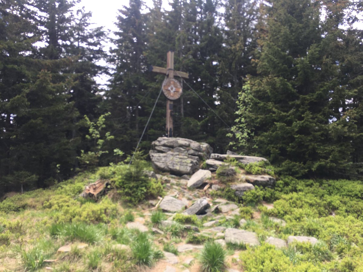 SchuhChristoph's tweet photo. Impressionen der #Wanderung auf den #Kampstein in der Region #Wechsel, die offensichtlich gerade wieder zum Leben erwacht! #Tourismus #Biketrails #SportsON #Niederoesterreich…PS: Abendessen von gestern am #Pogusch erfolgreich weggewandert 😎 https://t.co/yafMItabQy