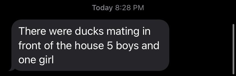 briigittee's tweet photo. thanks mom for notifying me of the duck gangbang in the yard https://t.co/d359FdtCR3