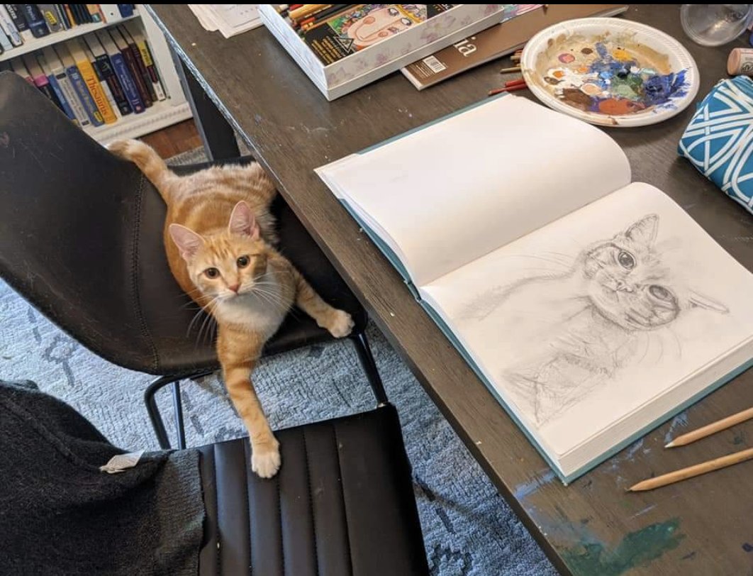 lisaschibelius's tweet photo. This past week in Morocco with @vtrsap full of food, art, music & cats has been such a beautiful reflection on life. It's been almost a year since I've painted/created & I'm inspired to find my way back to it. Here are a few pieces I've done in 2020/21
#VTRSAP2022 #catsofmorocco https://t.co/IlPsrhjCpn