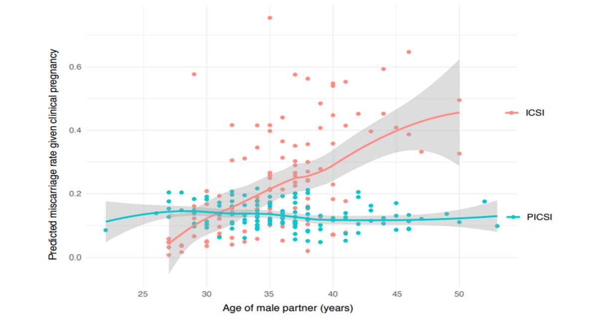 Sheena Lewis tweet media