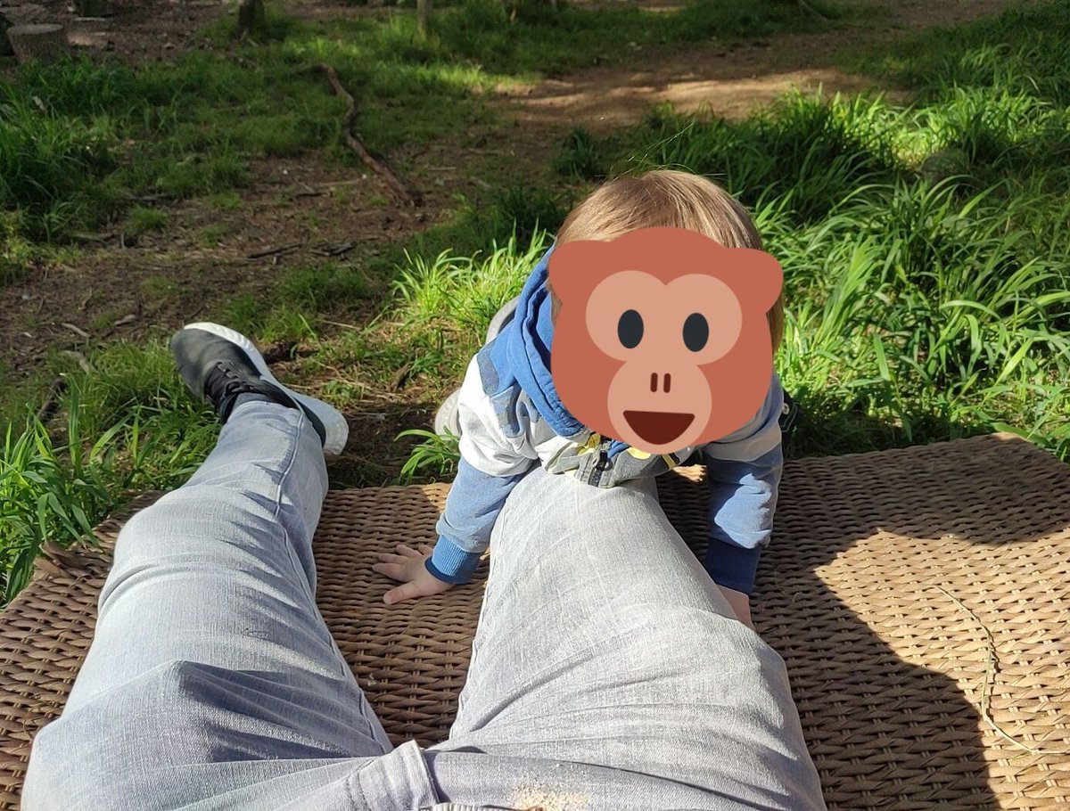 moonmonkey82's tweet photo. Irgendjemand hat hier Liege am Waldweg dagelassen und jetzt chillen wir halt ne Runde. https://t.co/S33g8K50jS