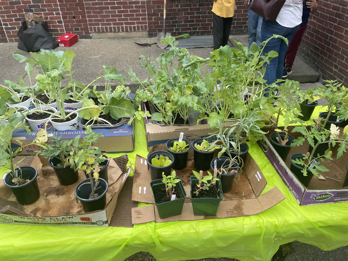 Olneyville Library tweet media