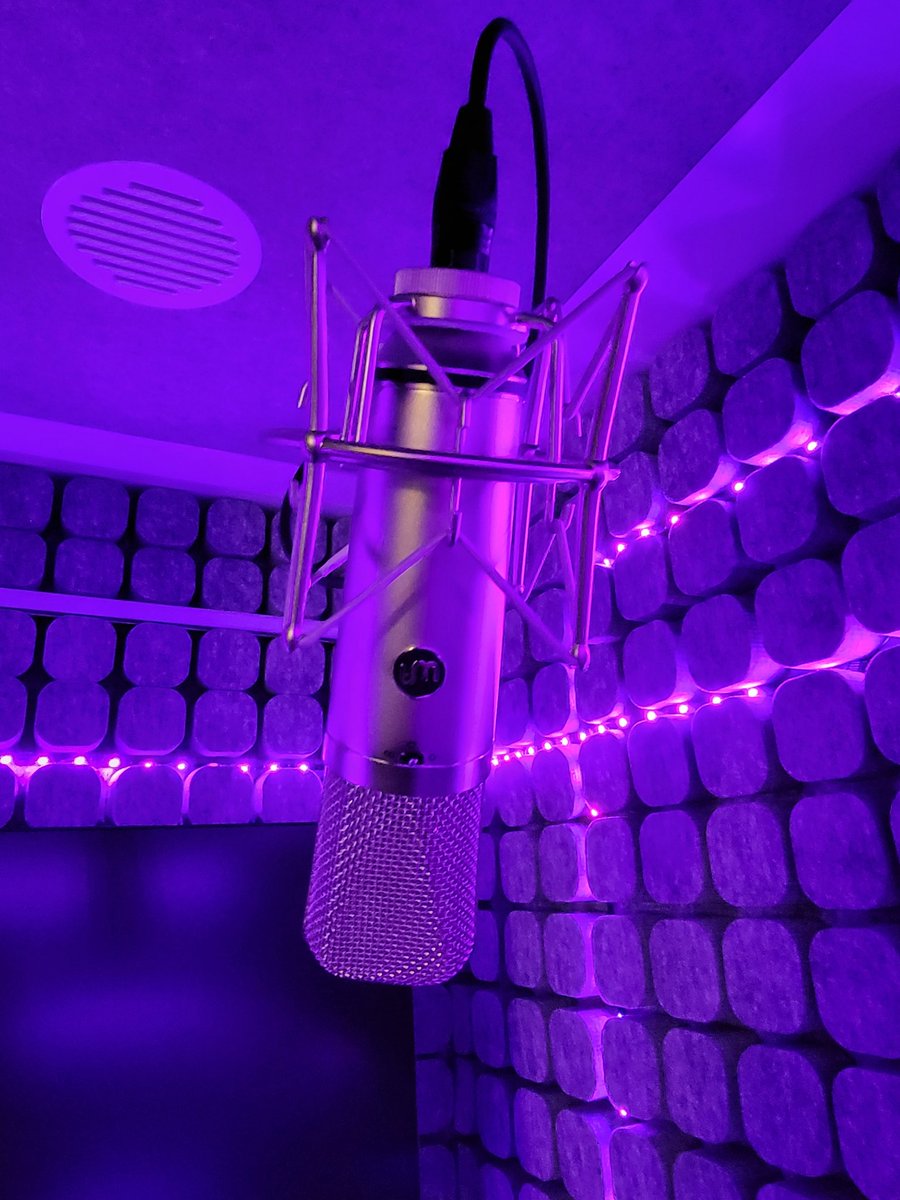 VoiceOfCass's tweet photo. Got a new mic for my new booth!! So excited, this thing sounds AWESOME! #WA87 @WarmAudio #voiceover #audiobooknarrator @studiobricks https://t.co/rUNGdHjxW7