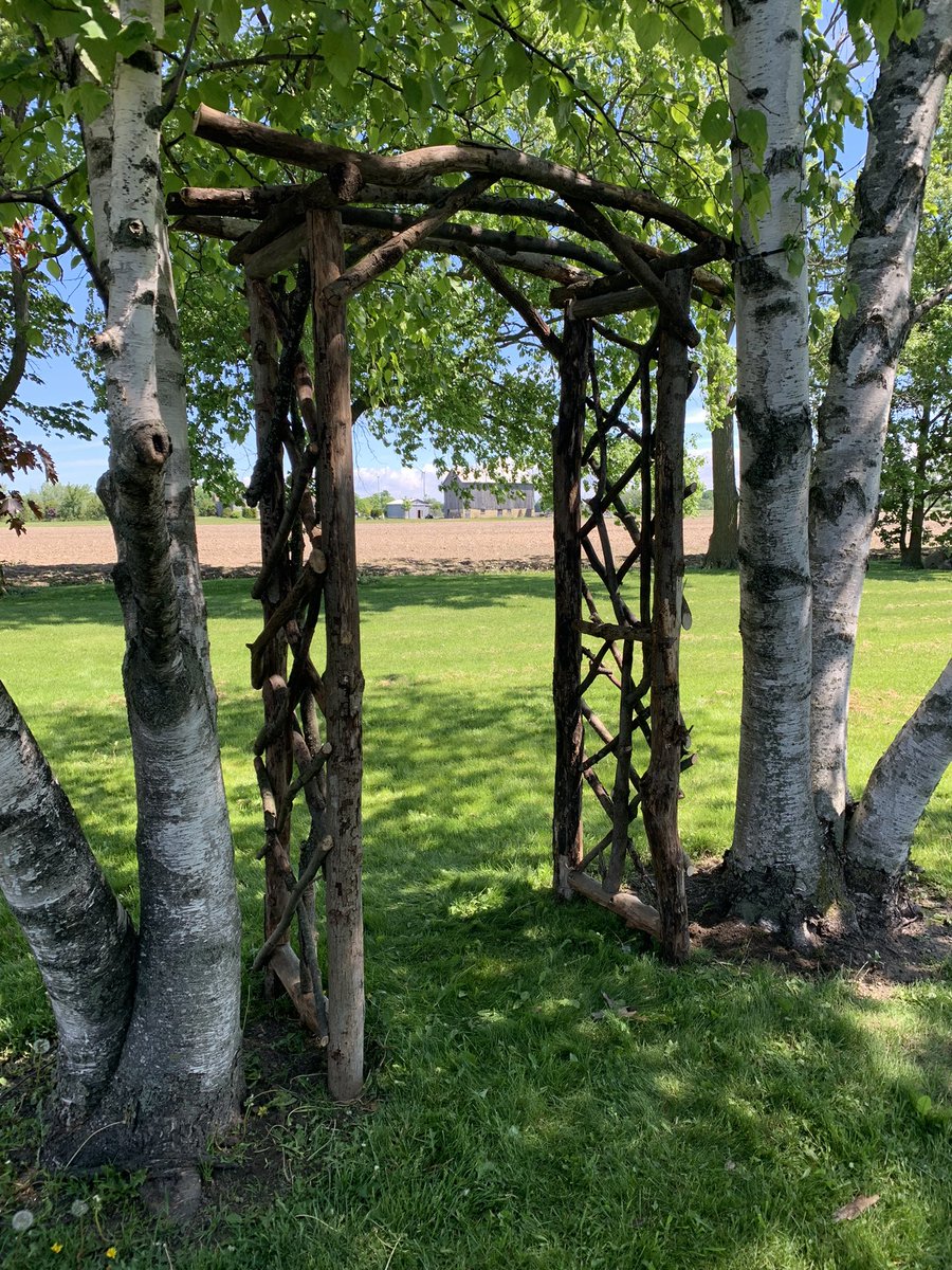 HumdrumOrange3's tweet photo. My Dad built this arbour for our backyard. My Mom & Dad showed up this morning with it in pieces and I helped put it up.
#HandyDad https://t.co/q3BGRgLXqz