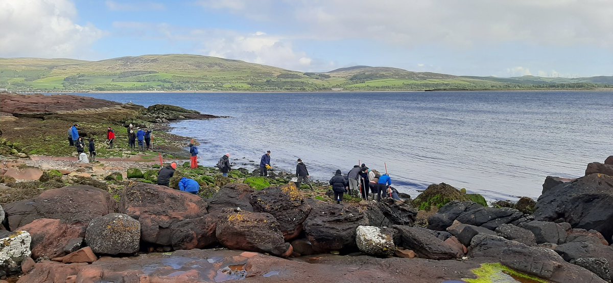 Cath Hide tweet media