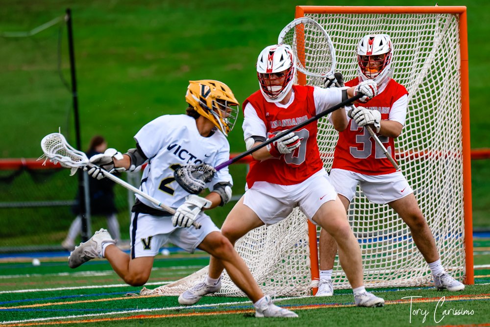 Carissimo Media 📸📽 tweet media