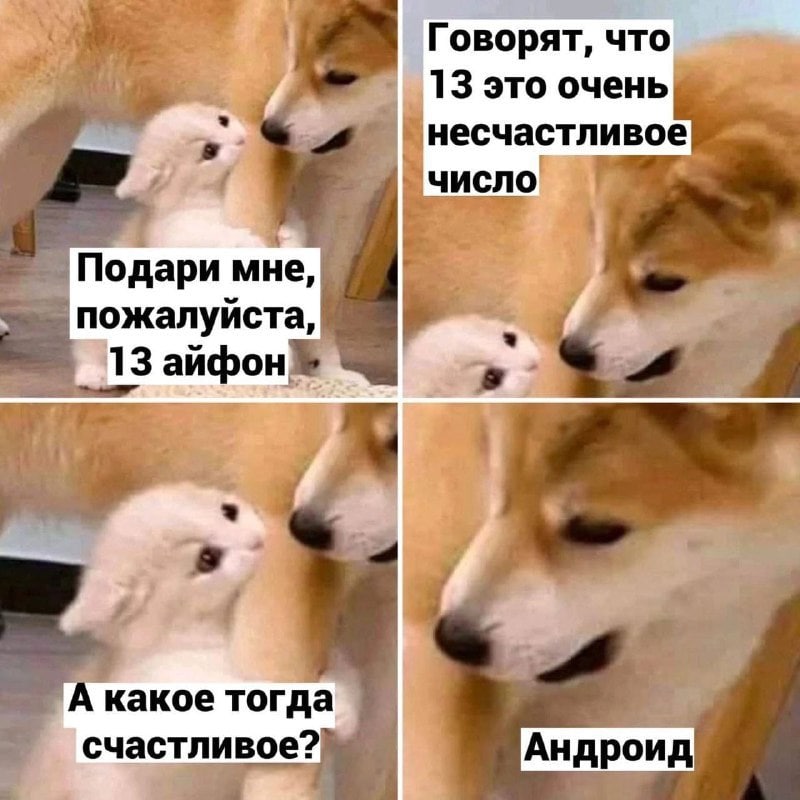 СиЭнсДи בישראל (@cnsd16) on Twitter photo 