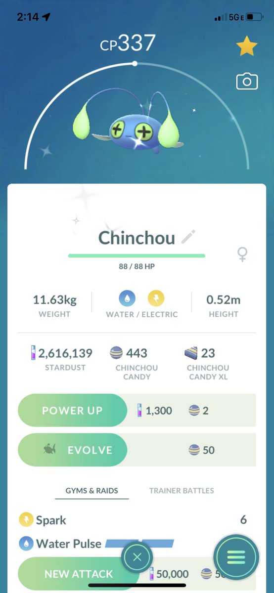 1OnePercent1_'s tweet photo. 🥳Gotcha pickin up my first shiny Chinchou!🥳

✨GG’S✨ https://t.co/ZzI6Vogx20
