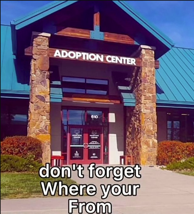 LilLipton5's tweet photo. #when one of your #homies forget where they came from
#meme #memes #Adoption https://t.co/tKYyN34lC4