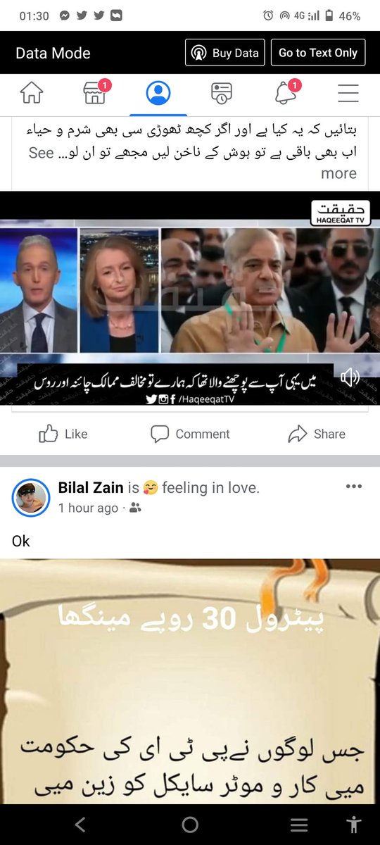 کل ممالک داخل رخم واحد وکبیر حیوان خمار امریکہ all wold in no 1 dog U$A