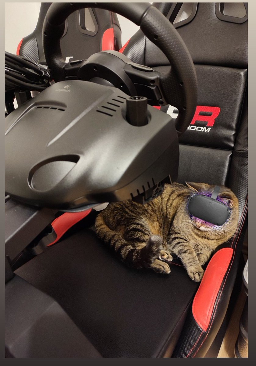 Cat Schuhmacher driving in VR 🏆🏁