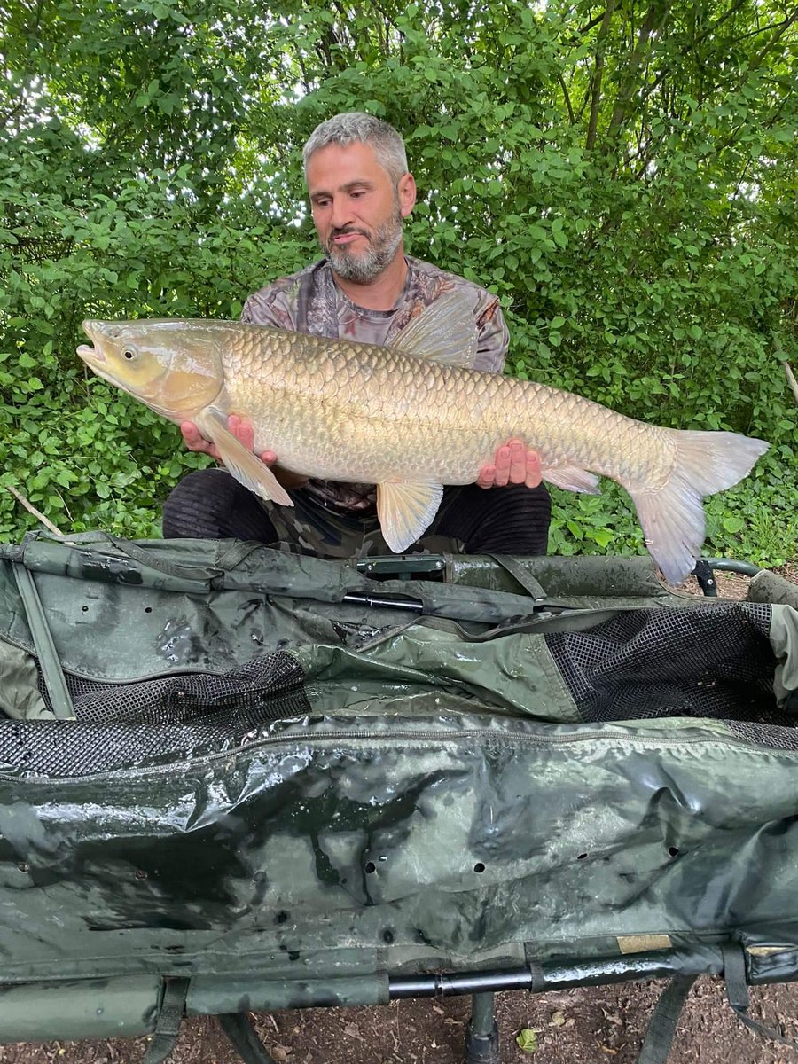 Lakesarock's tweet photo. Darren had a cracking week with his pals! #carpfishing #carpsofinstagram #commoncarp #fishinginfrance #instacarp #livethesearch #mirrorcarp #grasscarp #fishinginfrance #francefishing #carpfishinginfrance #tightlines #carping #carppassion #carpfish #danglersnation #carpphotography https://t.co/z30fe1mbhV